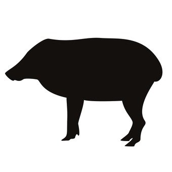 340x340 Free Silhouette Vector The Wild Boar, Icon