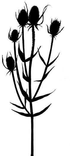 236x523 Best Flower Silhouette Ideas Flower Stencils