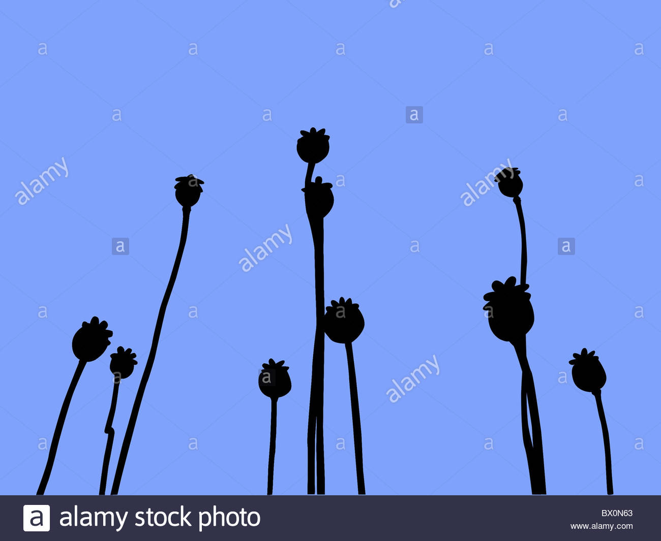 1300x1065 Clip Art Illustration Birds Stock Photos Amp Clip Art