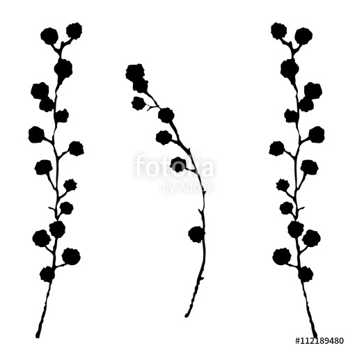500x500 Last Bing Queries Amp Pictures For Wildflower Silhouette Vector