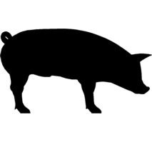 213x199 Shadows Clipart Pig