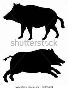 236x308 Wild Boar Silhouette In Black Cakes