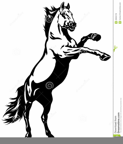 514x600 Mustang Wild Horse Clipart Free Images