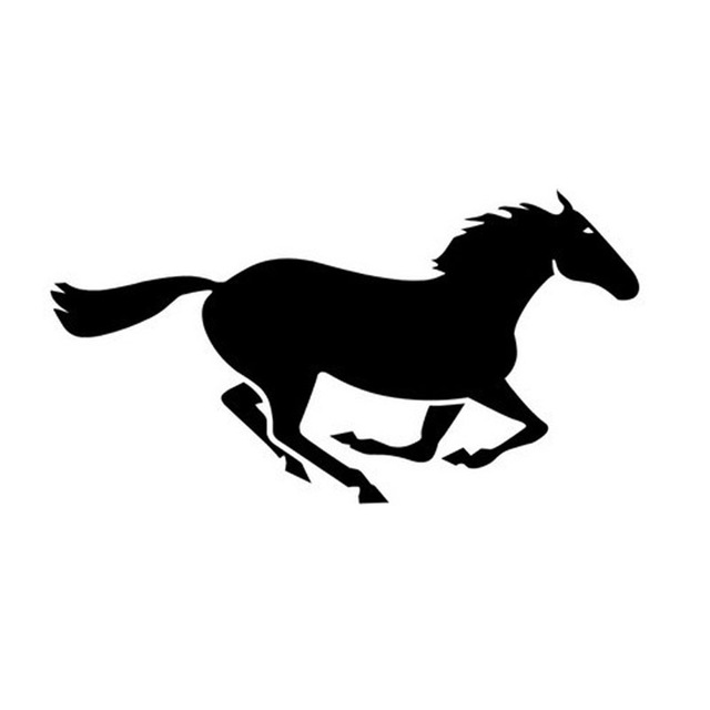 640x640 Wild Horse Car Stickers Decals Accessories Covers Motorcycles