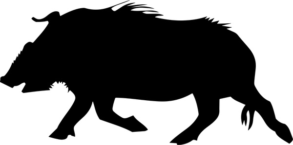 600x298 Wild Boar Vector Illustration With Silhouette Style Free Vector