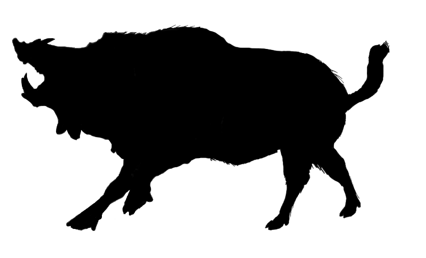 Wild Pig Silhouette at GetDrawings | Free download