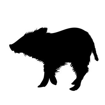 Wild Pig Silhouette at GetDrawings | Free download