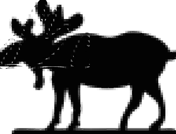 596x452 Moose, Physical, Mammal, Creature, Animal, Silhouette, Outline