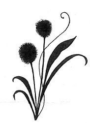 183x250 Monochrome Queen Anne's Lace Silhouette Printables And Tags