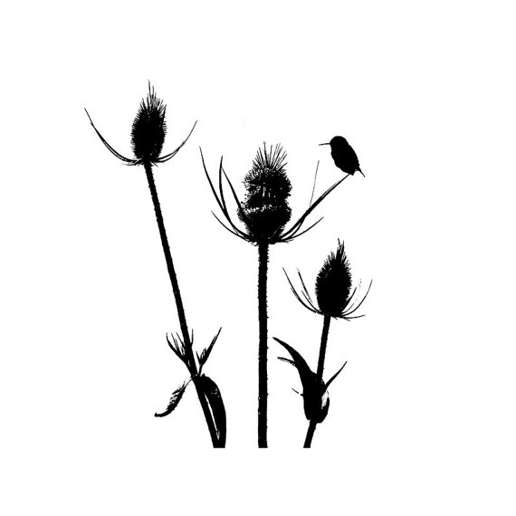 570x570 Wildflower Bird Black White Silhouette Art Print Minimalist