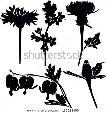 441x470 Wildflower Silhouettes Decorative Thistle Stock Photos