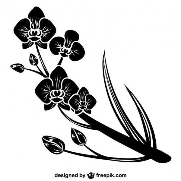 600x600 Black Orchid Silhouette Free Vector 123freevectors