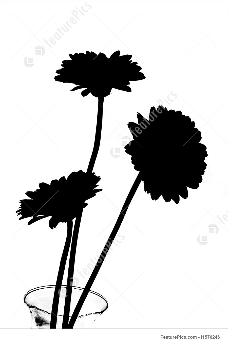 900x1360 Daisies In Silhouette Illustration