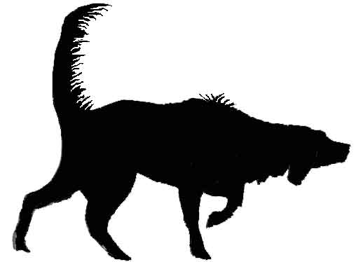 508x374 Lampl Engineering