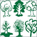 129x129 Willow Tree Silhouette Illustration