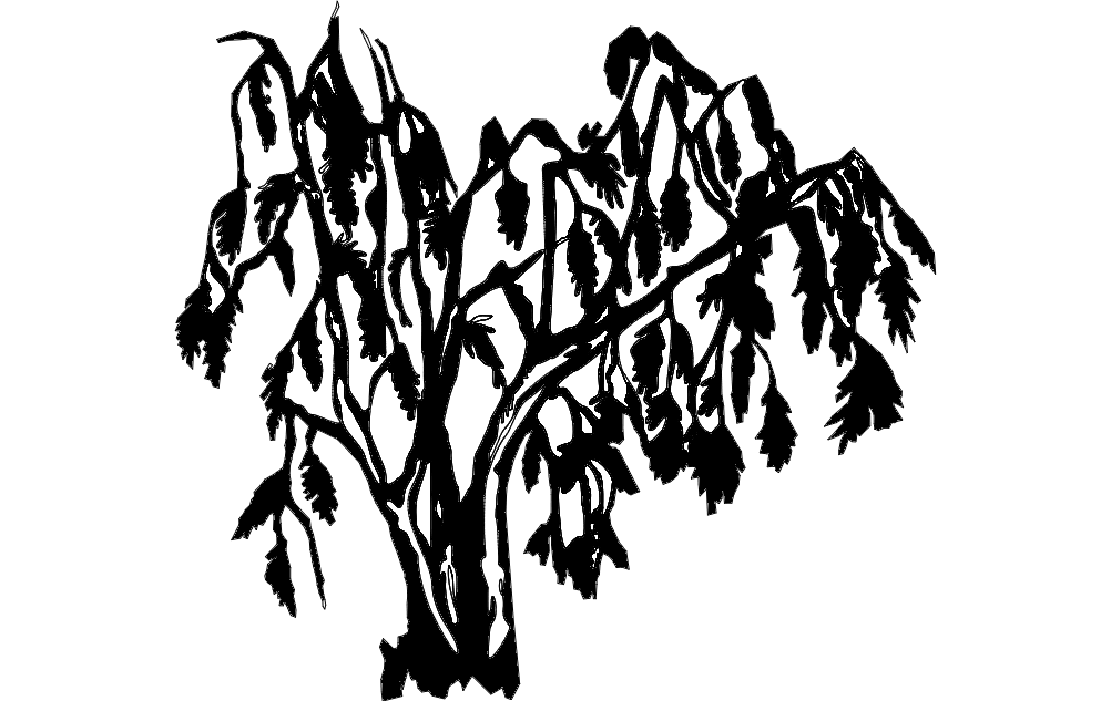1002x633 Willow Tree Dxf File Free Download