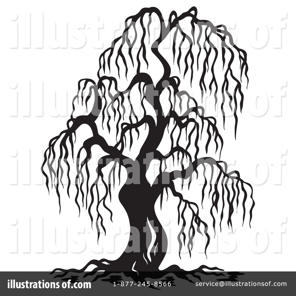 1024x1024 Willow Tree Clipart