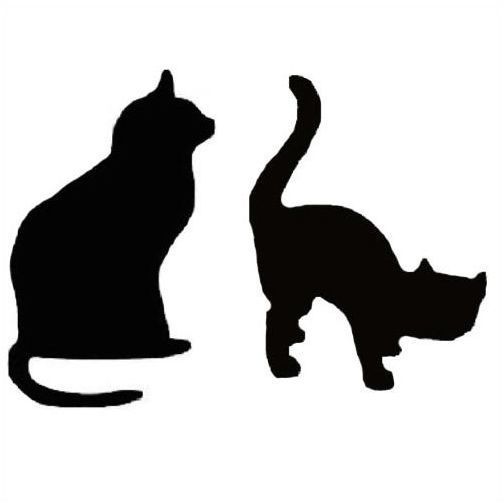 504x504 618 Best Inspiration