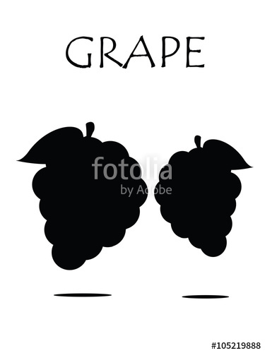 375x500 Grapes Vector Isolated. Icon.logo. Grapes Wine. Grapes Vine. Green