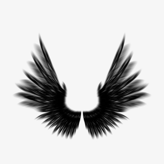 564x564 Wing, Black Wings, Wings Silhouette Png Image And Clipart For Free