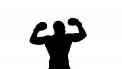 240x136 Boxer Winner Silhouette On White Background ~ Video