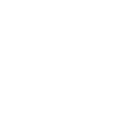 256x256 The Winston Churchill Inspiration To A Nation Coin