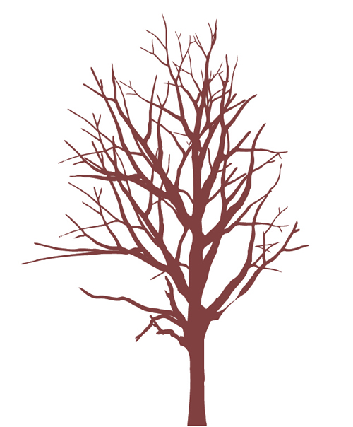 500x604 Winter Tree Branches Photoshop Brushes