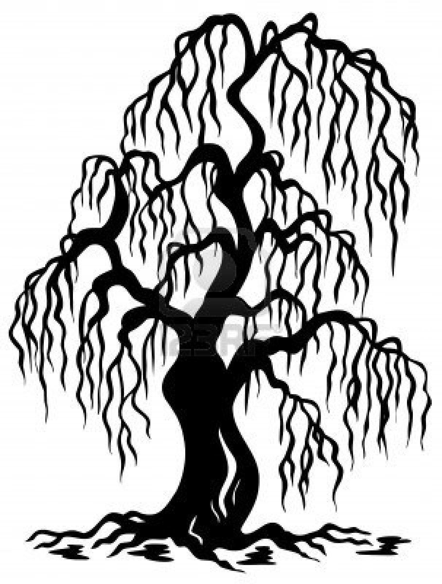 909x1200 Willow Tree Silhouette