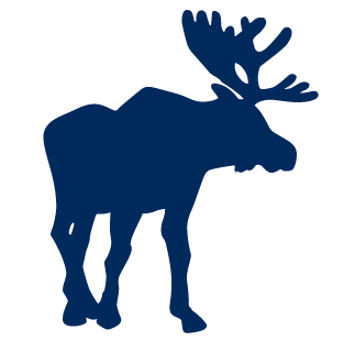 313x310 Winter Destination Guide