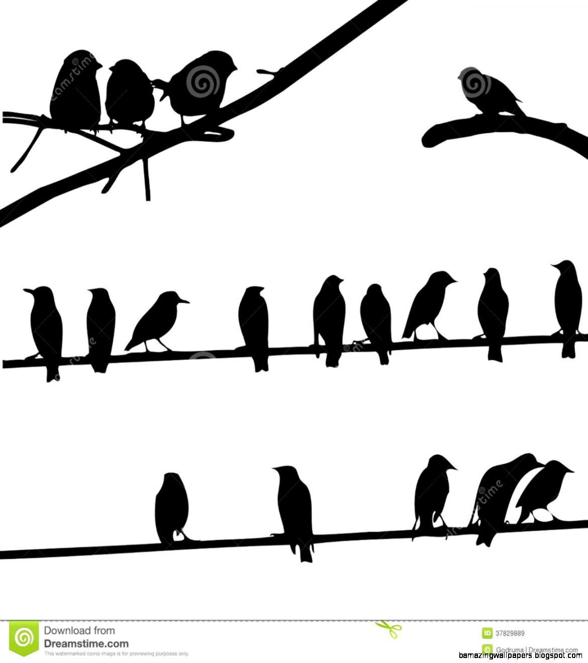 1170x1320 Bird On A Wire Silhouette Clipart Amazing Wallpapers