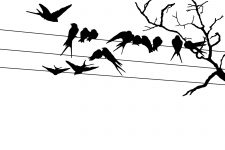 225x150 Bird Silhouette Images ~ Karen's Whimsy
