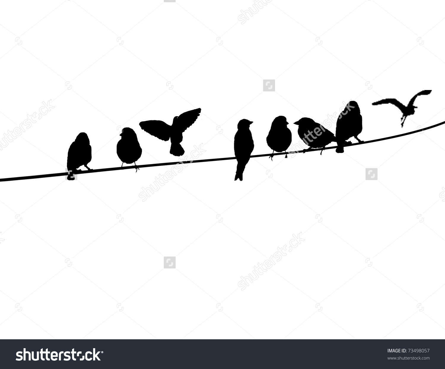 1500x1242 Birds Sitting On A Wire