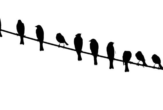 570x386 Nice Bird On A Wire Silhouette Frieze