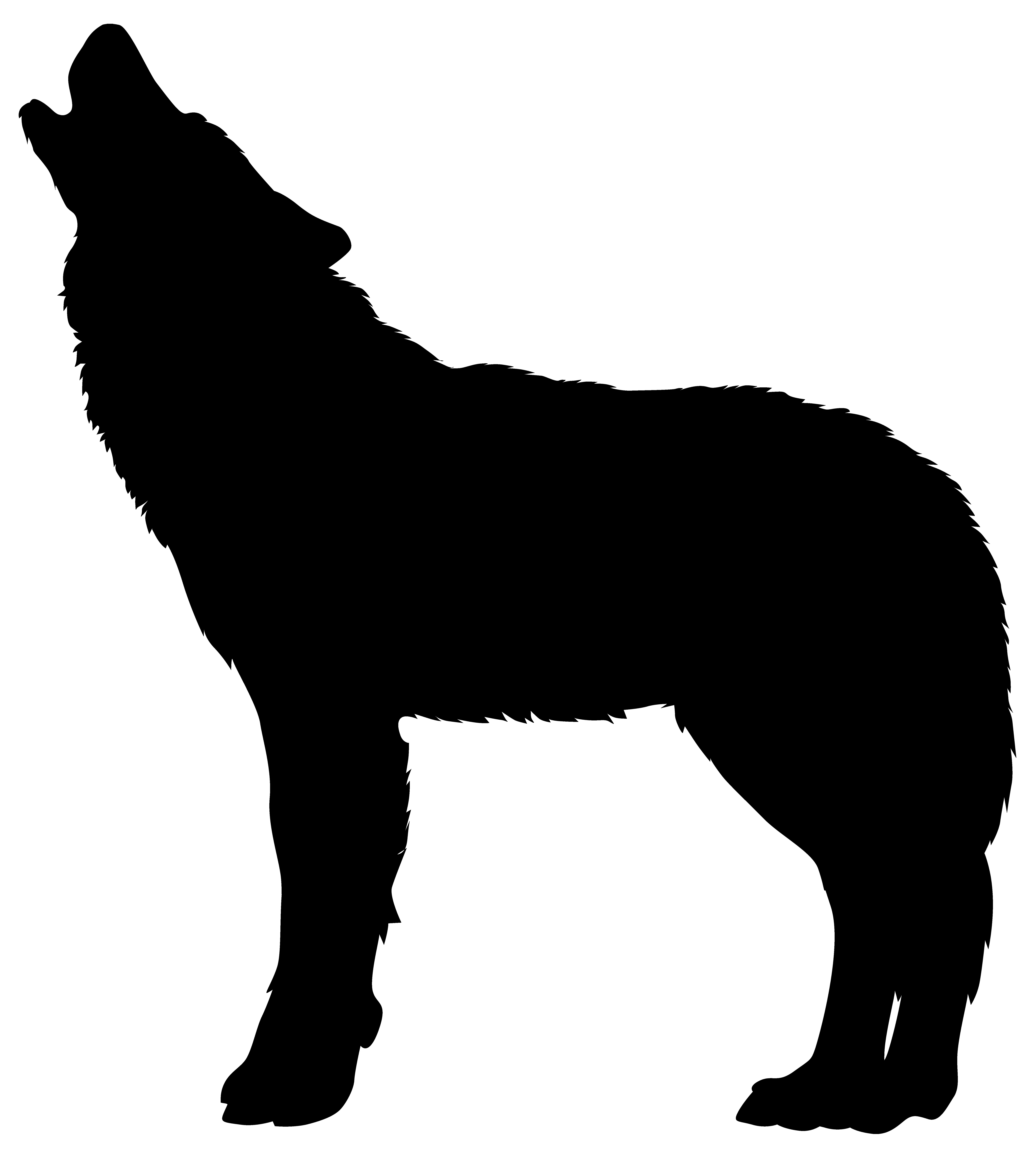 7197x8000 Wolf Clipart Png