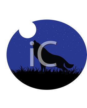 281x350 Wolf Howling