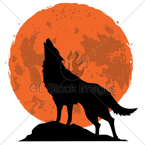 500x500 Wolf Howling At The Moon In The Midnight Vector Gl Stock Images