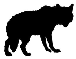 320x247 Wolf Silhouette