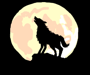 300x250 Wolf On A Surfboard