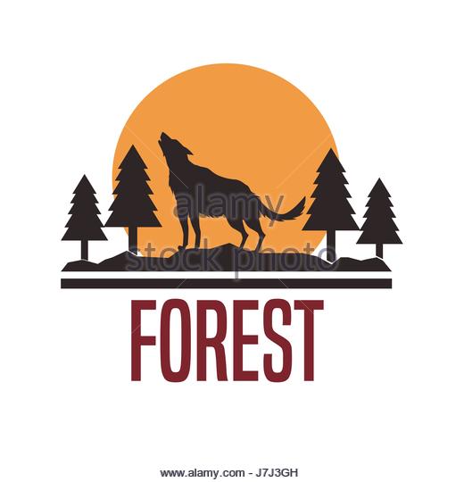 520x540 Wolf Silhouette Stock Photos Amp Wolf Silhouette Stock Images