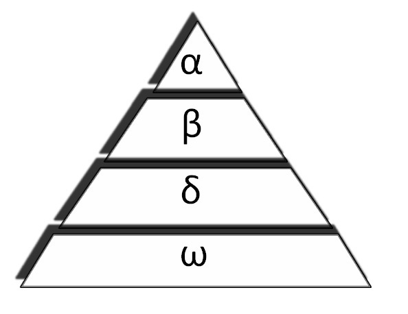 594x458 Hierarchy Of Grey Wolves' Pack