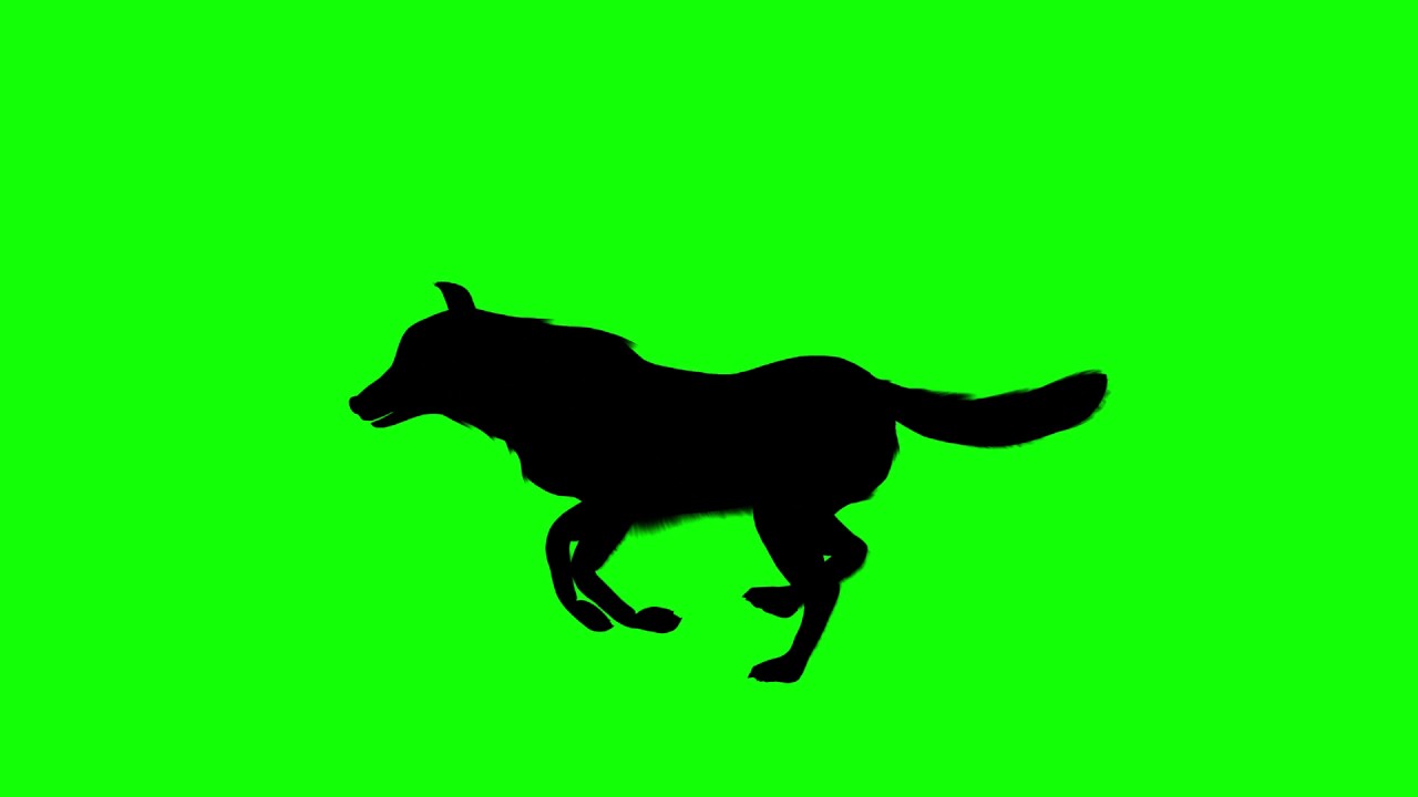 1280x720 Free Hd Video Backgrounds Silhouettes Wolf Running