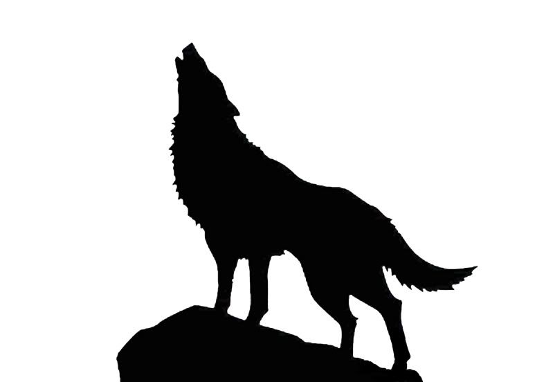 799x552 Image Result For Wolf Stencil D.i.y. Wolf Stencil