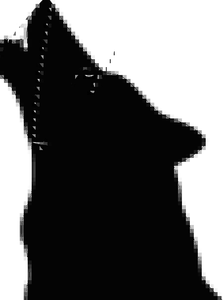 451x608 Wolf, Casanova, Skull, Silhouette, Outline, Head, Beast, Face