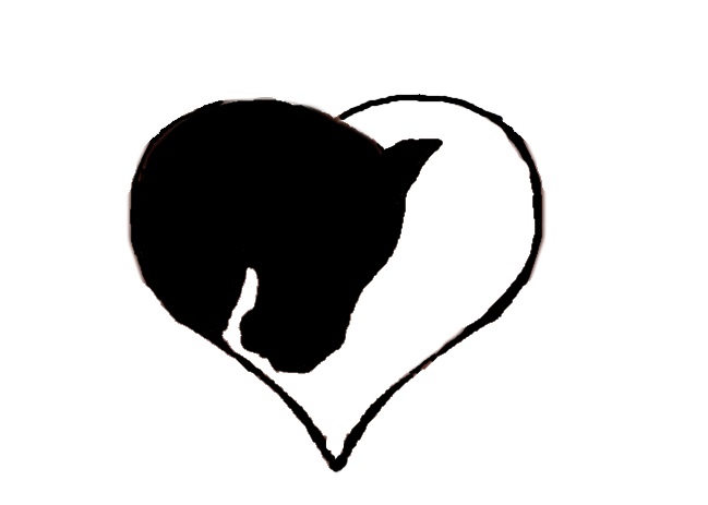 649x463 Horse Heart Tattoo By Black Wolf Dog