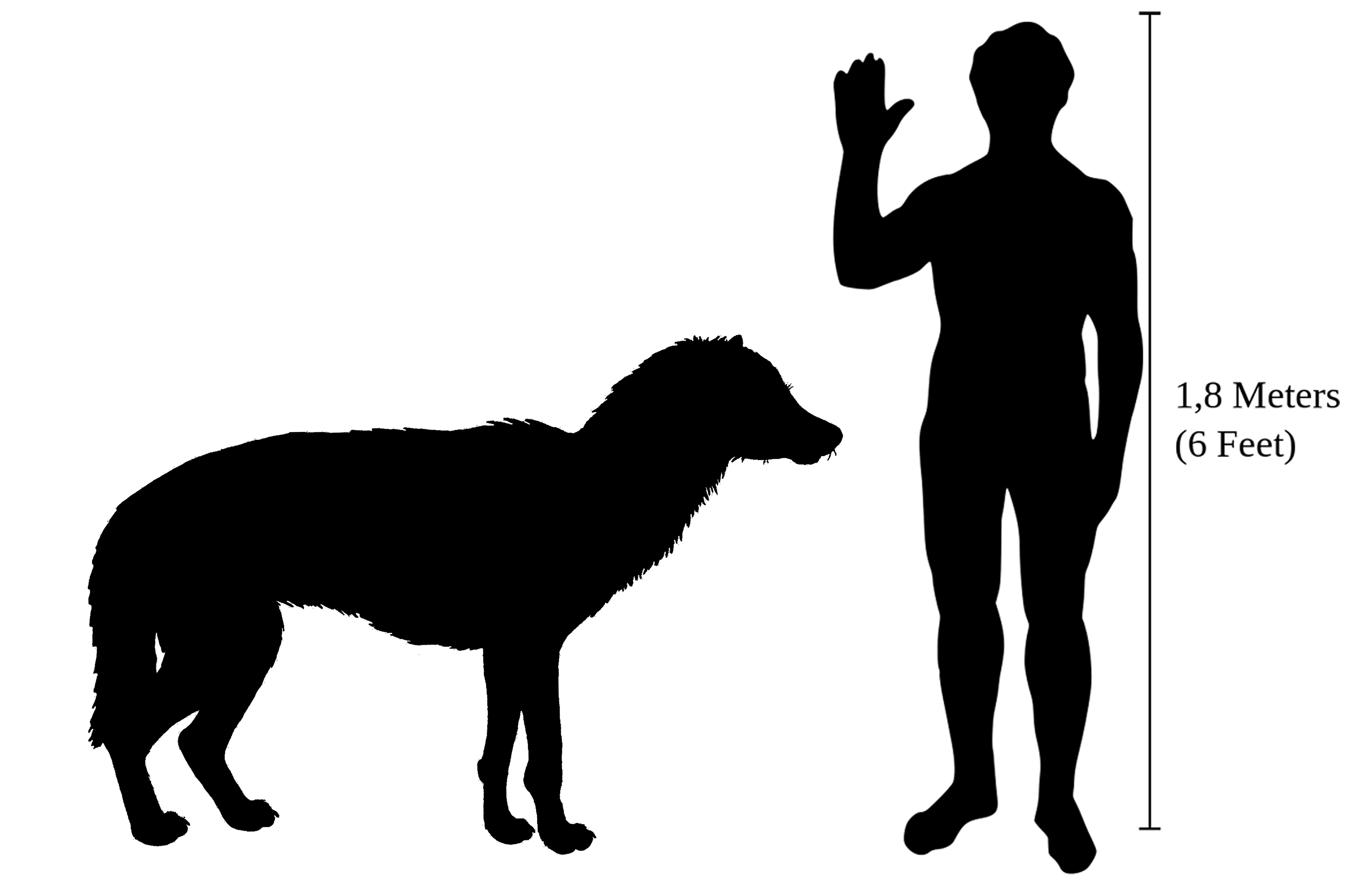 4769x3084 Fileberingian Wolf Size.png