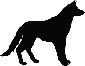 279x215 Wild Animals Silhouettes Silhouettes Of Wild Animals