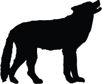 209x171 Wolf Silhouette Silhouette Of Wolf