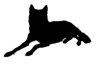 320x219 Wolf Silhouette Images