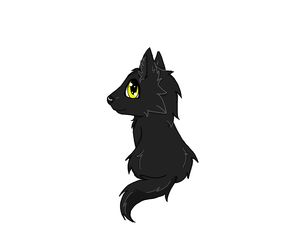 1024x768 Black Wolf Pup (Wolfy) By Wolfy Kokoro