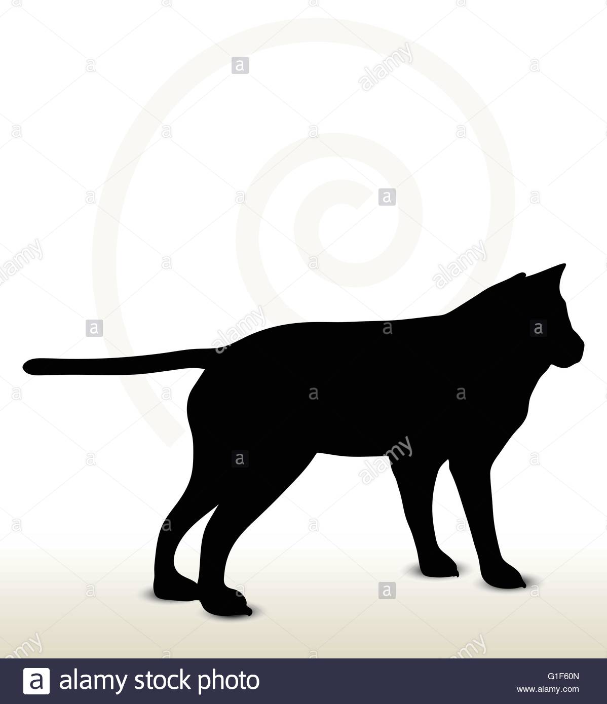 1198x1390 Vector Image